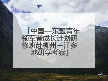 中国—东盟青年领军者成长计划研修班赴柳州三江多地研学考察